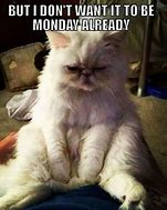 Image result for Mondays Be Like Funny Meme