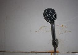Image result for Shower Head for Low Ceiling
