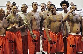 Image result for Most Wanted Gang Members Chicago