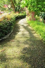 Image result for free picture of feet walking a path