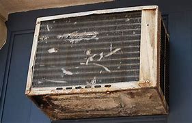 Image result for Mold in Window Air Conditioner Unit