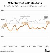 Image result for Primary Voter Turnout