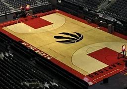 Image result for Toronto Raptors Center
