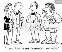 Image result for Common Law Cartoon
