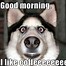 Image result for Funny Good Morning Sarcastic Ray of Sunshine Memes
