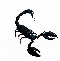Image result for Black Scorpion Cartoon