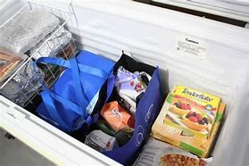 Image result for Garage Ready Chest Freezers