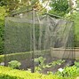Image result for Veggie Cages