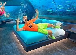 Image result for Underwater Animal House