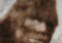 Image result for Sasquatch Face