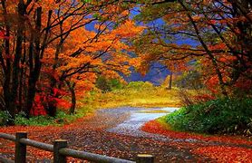 Image result for Fall iPad Backgrounds