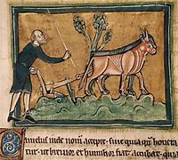 Image result for Iron Plow Medieval