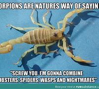 Image result for Scorpion Demon Funny