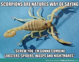 Image result for Funny Scorpion