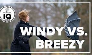 Image result for Breezy Day