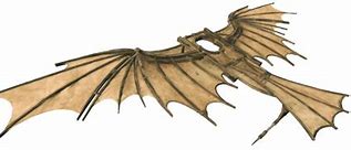 Image result for Early Flying Machines