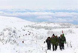 Image result for Jeju Winter