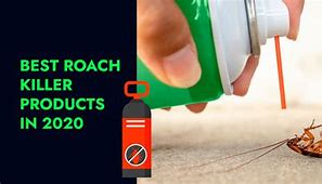 Image result for Best Roach Killer Products