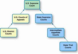 Image result for U.S. Court System Diagram