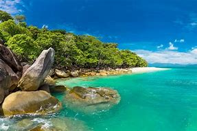 Image result for Famous Australian Beaches