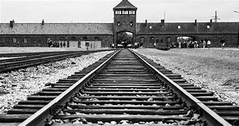 Image result for Mengele Selections