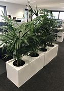 Image result for large indoor planter