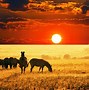 Image result for African Sunrise