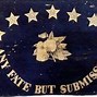 Image result for The Flags of Civil War Missouri Page 77 8th Missouri Infantry Flag