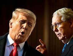 Image result for Mitch McConnell Donald Trump