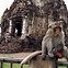 Image result for Lopburi Monkey Temple