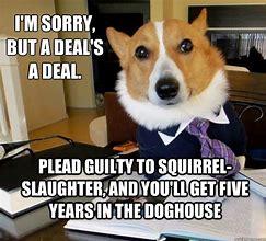 Image result for Lawyer Dog Quotes