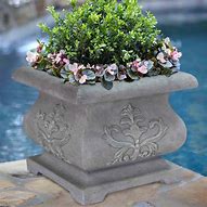 Image result for Sam's Club Planters