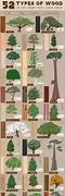 Image result for Types of Hardwood and Softwood