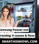 Image result for GE Fridge Freezer Not Freezing