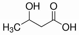 Image result for 3-Hydroxybutyrate