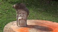 Image result for Dremel Wood Carving Wood Spirit