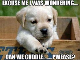 Image result for Boy Snuggle Funny Quotes