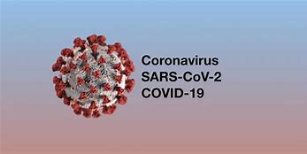 Bildresultat för coronavirus