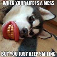 Image result for Smiling Husky Meme