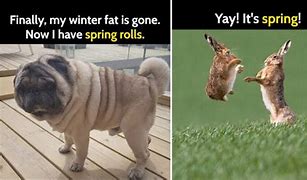 Image result for First Day of Spring Jokes