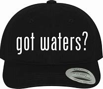Image result for Roger Waters Hats