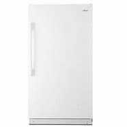 Image result for Ice Chest Stand Up Freezer