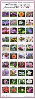Image result for Florist Commom Flower Identification Chart PDF Free