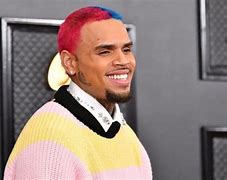Image result for Chris Brown New House