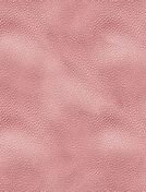 Image result for Pink Leather