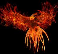 Image result for Free Phoenix Kindle Fire Wallpaper