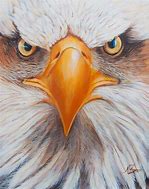Image result for Eagle Head Artwork
