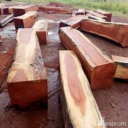 Image result for Mahogany Logs for Sale