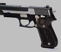Image result for Sig Sauer P220 Equinox
