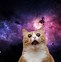 Image result for Kindle Fire Wallpaper Space Cat